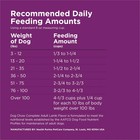  3 Pack  Purina Dog Chow Complete High Protein Adult Dry Dog Food  Lamb  18 5 Lb