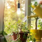 2 Pack Led Grow Light Bulbs A19 Bulb  Full Spectrum Plant Light Bulb  9w E26 Gro