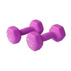 10lb Non-slip Neoprene Dumbbell Set 2 Count Home Gym Workout Fitness Dumbbell
