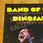 Band Of Horses Dinosaur Jr 2026 Tour Record Store Promo Poster - Where You Been