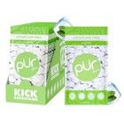 Pur Gum Aspartame Free Chewing Gum 100  Xylitol Natural 55 Pcs  select Flavor 