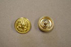Lot Of 10 Us Navy Brass Eagle And Anchor Buttons  Waterbury Co 