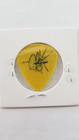 Blues Traveler   Chan Kinchla - Vintage Original 1994 Tour Concert Guitar Pick