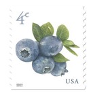 Us 5652 Blueberries 4c  2022  - 50 Postage Stamps  Single Strip From Coil Mnh