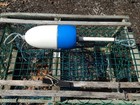 Free Ship 229 Maine Lobster Buoy Nautical Pot Bouy Float Shore Crab Lake Cape