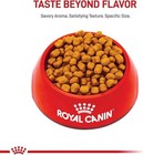 Royal Canin Adult Dry Dog Food - Shih Tzu Breed Health Nutrition  10 Lb Bag