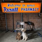 Vintage Rexall Pharmacy Lighted Sign Rx Prescriptions Old Drug Store Advertising