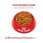 Royal Canin Breed Health Nutrition Chihuahua Adult Dry Dog Food  10-lb Bag