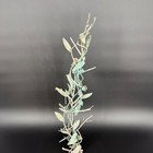 Vintage Mcm Brutalist Metal Vine Leaves Flower Tree Sculpture Patina Art Statue