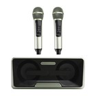 Wireless Bluetooth Dual Microphone Karaoke All-in-one Speaker For Home Outdoor U