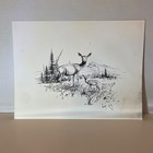 3 Original Bob Edgar Pen   Ink Drawing     Cody  Wyoming Western Art Open 2 Offers