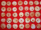  75  Choice Sahara Neolithic Quartz Beads 12-15mm  Prehistoric African Artifacts