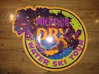Vintage Michelob Dry Water Ski Tour Metal Tin Tacker Beer Sign 1991 Rare
