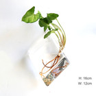 Fashion Wall Hanging Glass Flower Vase Terrarium Wall Fish Tank Aquarium Contain