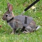 Rabbit Vest Harness And Leash Set Adjustable Formal Suit Style For Bunny Kitt   