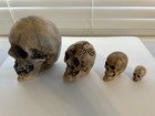 4 Original Randotti Skulls Large Skull  Spider Skull  Pixie Skull    Small Skull