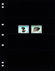  3 15 Scott Value - 1982 Congo Seashells Shells African Scarcer Cv Mnh Nh Umm