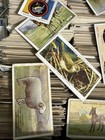 10 X Random Animals  zoo   Card Lot 1920   s-30   s Variety                                     