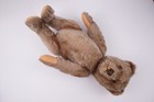 Antique   Old   Vintage 1950 - Probably A Steiff Teddy Bear Germany 13inch