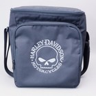 Harley Davidson Willie G Skull Renegade Tote Cooler Black Embroidered 10  X 9 