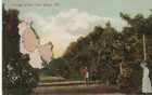 Vintage California Agriculture Postcards Lot Oranges Vineyards 1907 Dp