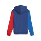 Puma Bmw M Motorsport Essentials Pullover Hoodie Youth Boys Size 5  Casual Outer