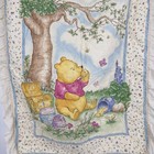 Vtg Classic Disney Winnie The Pooh Ruffled Edge Baby Crib Blanket Nursery Quilt
