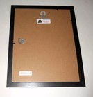 Framed Bruce Springsteen   Bob Dylan Backstage 1975 14  By 17  Born To Run Tour