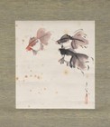 Japanese Hanging Scroll Taneo Gondo  goldfish  181x36cm Antique Art Piece