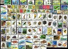 300 All Different Kut   Kenya  Uganda   Tanzania  Stamps All Years