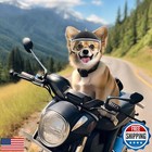 Petleso Dog Helmet With Anti-uv Clear Goggles  Small Dog Motorcycle Helmet Wi