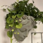 Lady Head Wall Planter Flower Pot Cement