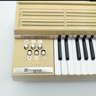 Vintage Magnus Portable Electric Chord Organ Model 360 Made In Usa Working