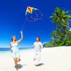 Large Rainbow Delta Kite For Kids   Adults single Line Beach Kite For Kids Ages 