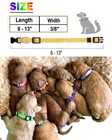 26 Pcs Adjustable Nylon Puppy Whelping Id Collars Soft Nylon Litter Collar