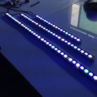 54w 81w 108w Populargrow Blue White Led Aquarium Light Bar Fish Tank Coral Lamp