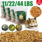 11-44lbs Bulk Dried Mealworms Non-gmo For Wild Birds Chickens Hen Meal Treats 