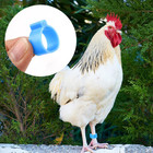 100 Colorful Clip-on Chicken Leg Bands - 100 Pcs Poultry Identification Rings