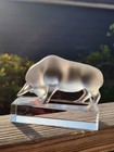 Lalique France Frosted Crystal Bull Figurine Paperweight 3 25x4 25 