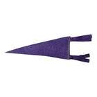 Vintage Natatorium Park Spokane Wa Felt Pennant 12  Amusement Park