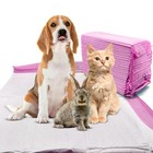 Pet Training Pads Scented 5-layer Ultra-absorbent Pink Pet Pads All Size   Packs