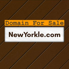 Newyorkle  com   Domains For Sale   Business Brand  Website Name   Namesilo