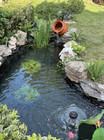 Pond Water Garden Complete Kit Koi Fish Home Backyard Diy - Fountain   Waterfall