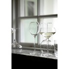 Sagaform By Widgeteer Saga Champagne Glass  Set Of 2