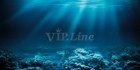 Aquarium Background Poster Seabed Coral Hd Fish Tank Decorations Landscape