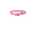 2-ply Web Collar For Dog High Quality Nylon Choice Of Colors   Sizes