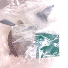Nature Techni Colour Figure Japanese Turtle Hawksbill Turtle Ikimon Japan 2024