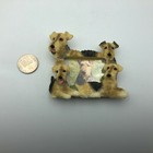 Fox Terrier Picture Frame For 1-1 2  X 2  Photo Dog Lovers Cute 3d Resin Small