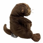 Webkinz Sea Otter Hm359 Plush Stuffed Toy Sealed Code Tag Animal Ganz