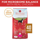 Purina One Natural High Protein Real Chicken   Rice Adult Dry Dog Food  40 Lb